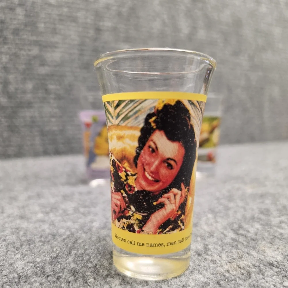 Vintage Anne Taintor Shot Glasses Set of 4 Retro 1950s Funny Humorous Barware